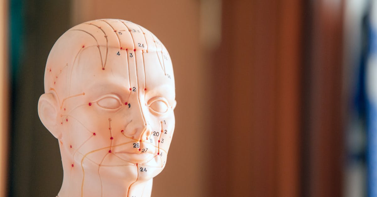 découvrez l'acupression, une technique de médecine douce qui utilise la pression sur des points spécifiques du corps pour soulager le stress, atténuer la douleur et améliorer le bien-être général. apprenez comment cette méthode millénaire peut transformer votre santé au quotidien.