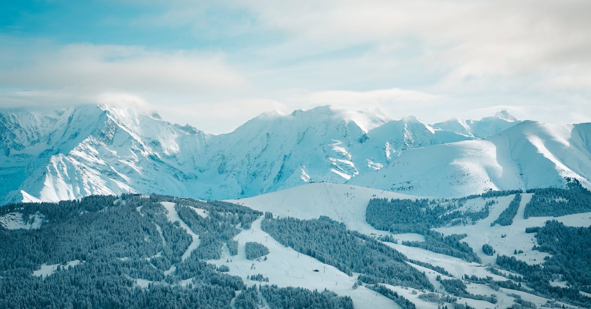 découvrez 'my paradies', un univers de sérénité et d'évasion. plongez dans un cadre enchanteur où chaque moment devient une expérience inoubliable. que ce soit pour des vacances, un séjour romantique ou une retraite spirituelle, 'my paradies' est votre destination idéale pour retrouver paix et harmonie.