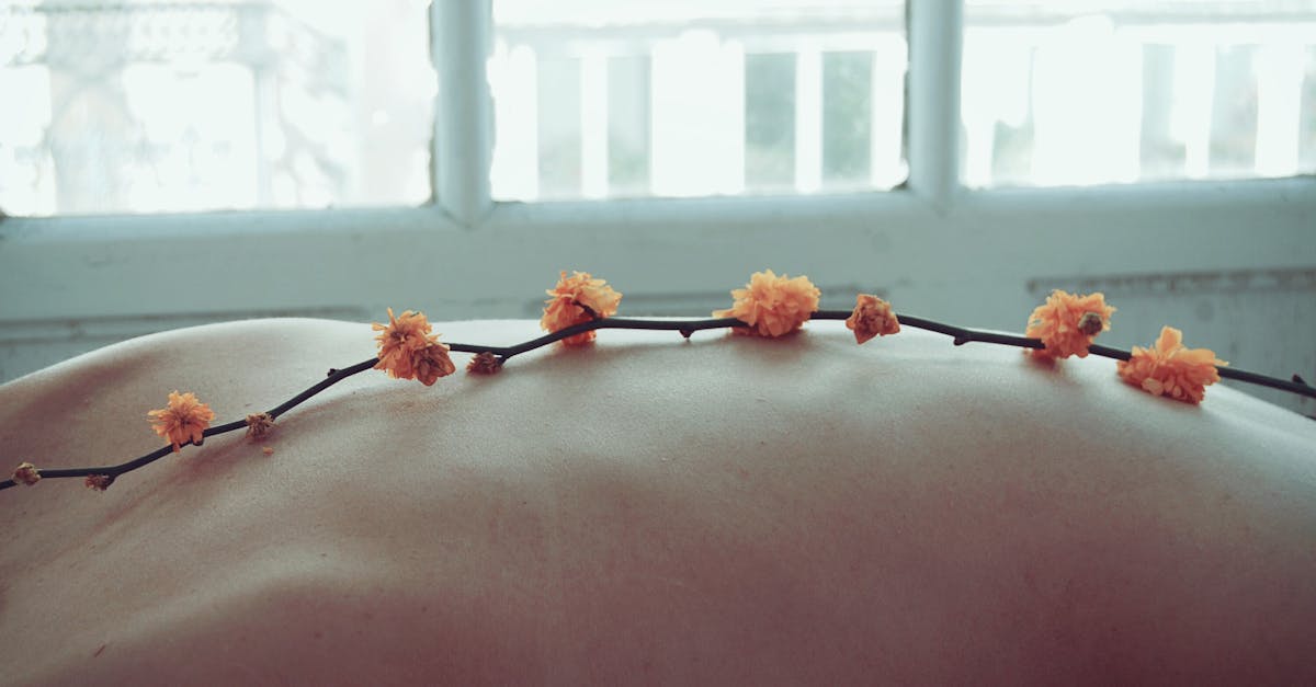 découvrez l'univers du bien-être avec nos conseils et astuces pour améliorer votre santé physique et mentale. plongez dans des pratiques de relaxation, de méditation et de nutrition pour une vie épanouissante et sereine.