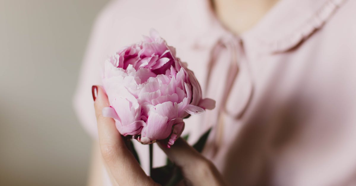 découvrez l'univers des femmes à travers divers aspects de leur vie, de leur parcours professionnel à leur style de vie, en passant par des conseils de bien-être et des histoires inspirantes qui célèbrent la force et la diversité féminine.