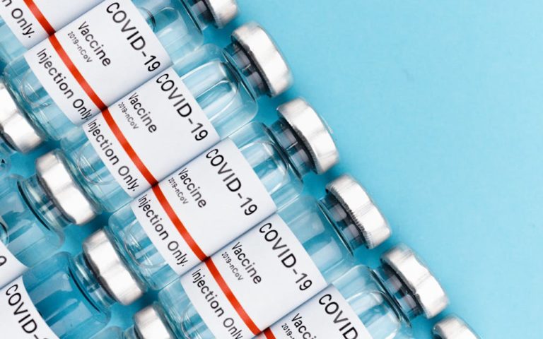 découvrez les dernières actualités sur les animaux : histoires insolites, nouveautés scientifiques, protection de la faune et conseils pour les amoureux des animaux.