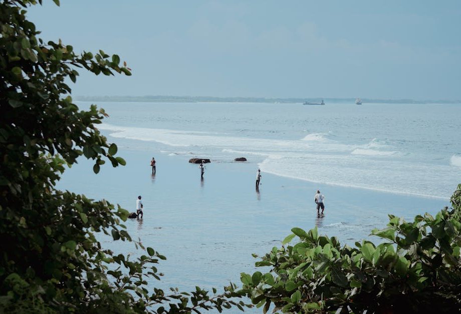 découvrez les meilleures activités à bali : plages, temples, sports nautiques, randonnées et excursions culturelles pour un séjour inoubliable sur l'île des dieux.