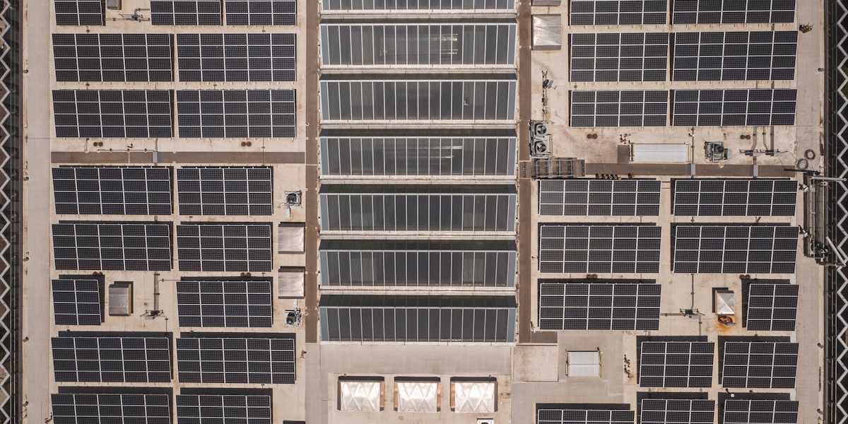 découvrez des solutions durables pour répondre aux enjeux écologiques, économiques et sociaux d’aujourd’hui. explorez des stratégies innovantes pour un avenir plus responsable.