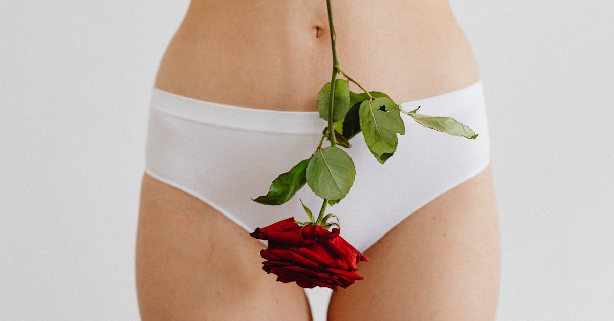 découvrez notre collection de fine lingerie alliant élégance, confort et raffinement. sublimez votre silhouette avec des pièces délicates et tendance, conçues pour toutes les occasions.